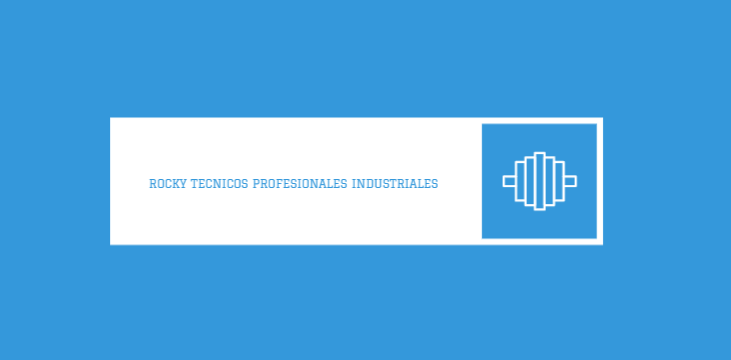 ROCKY TECNICOS PROFESIONALES INDUSTRIALES S. DE R.L. DE C.V. 